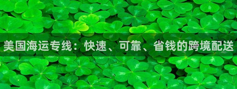 欢迎来到公海电脑版