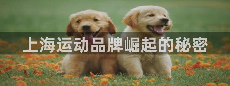 公海赌赌船手机下载