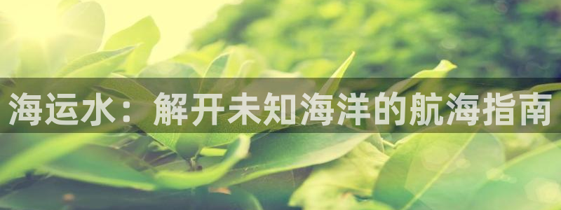 公海赌赌船手机下载
