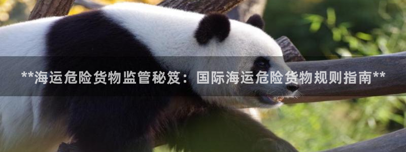 欢迎你来到公海710