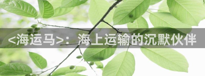 欢迎来到海牛星简谱