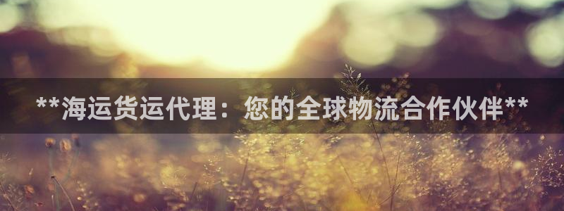 710公海赌赌船有总代理吗