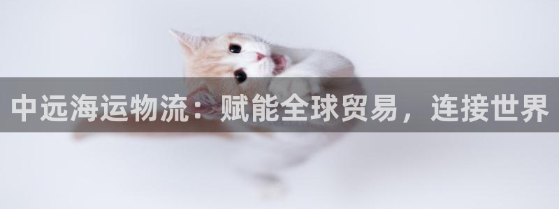 公海赌船网址710