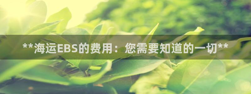 公海赌船怎么样
