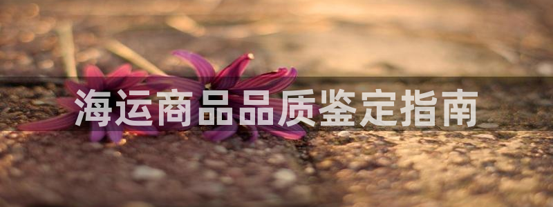 欢迎你来到公海欢迎你来到赌船
