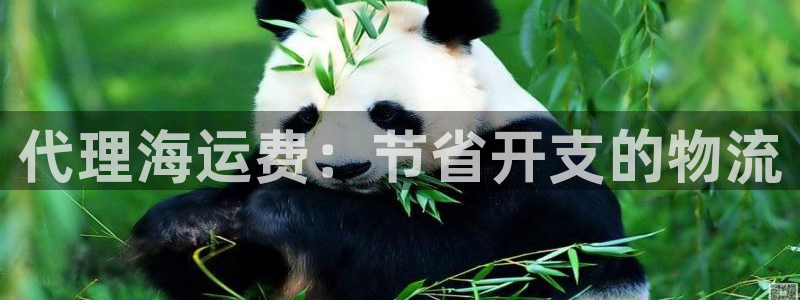 公海 赌船710手机版下载