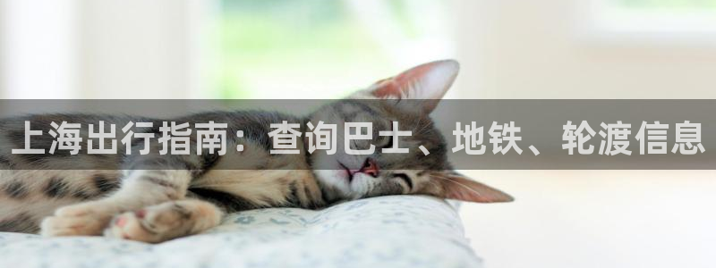 公海赌钱很大吗