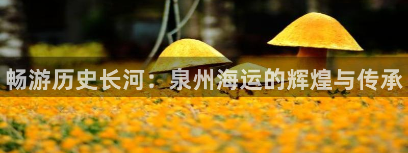 公海船赌网站是多少