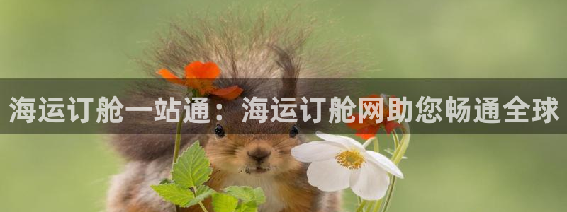 欢迎来公海欢迎来到赌船