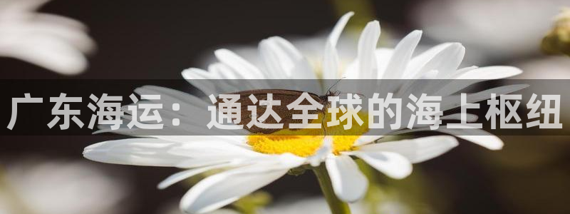 公海赌博为什么没人管