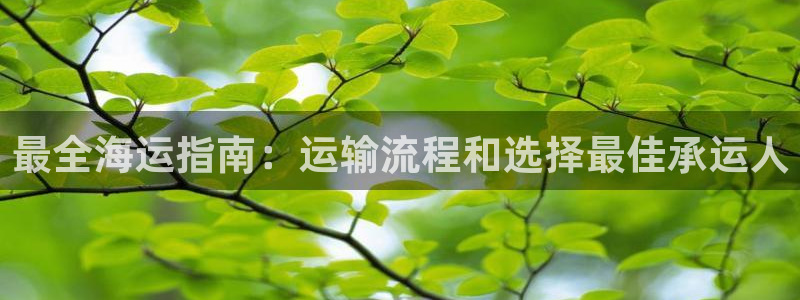 公海赌船赌博