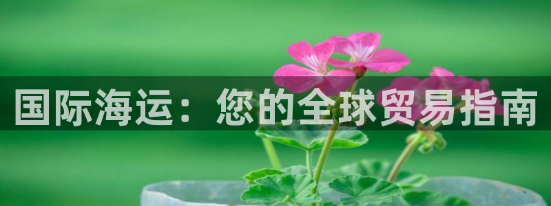 在公海赌博不违法吗