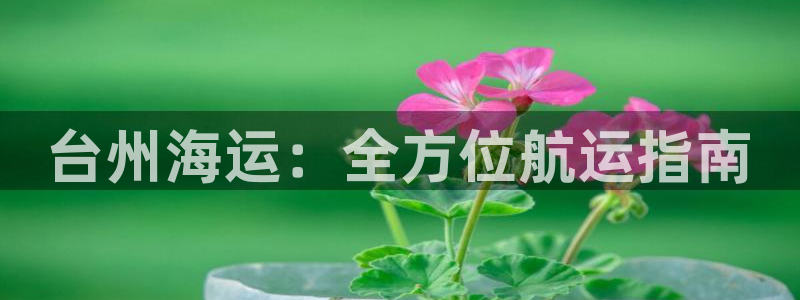 欢迎来公海欢迎来赌船!