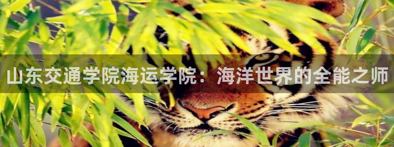 公海赌博是什么意思