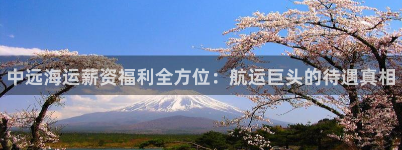 公海 赌船710手机版下载官方