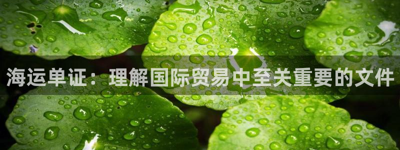 欢迎你来到公海710