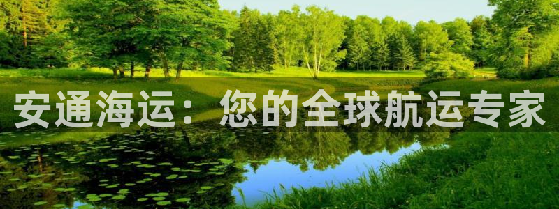 欢迎你来到 公主的海岛