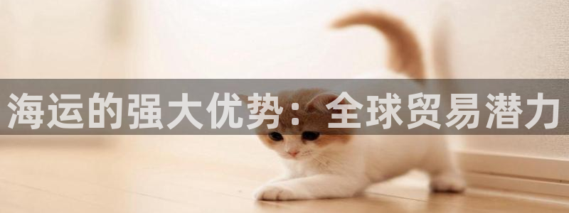 欢迎来到公海电脑版