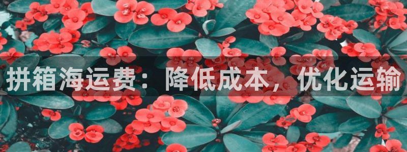 公海赌赌船系统维护要多久