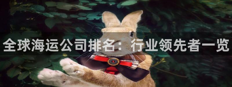欢迎你来到公海赌