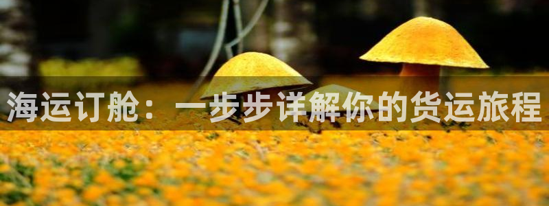 欢迎来公海欢迎来到赌船