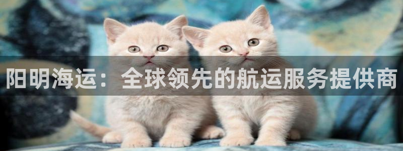 欢迎来到公海电脑版