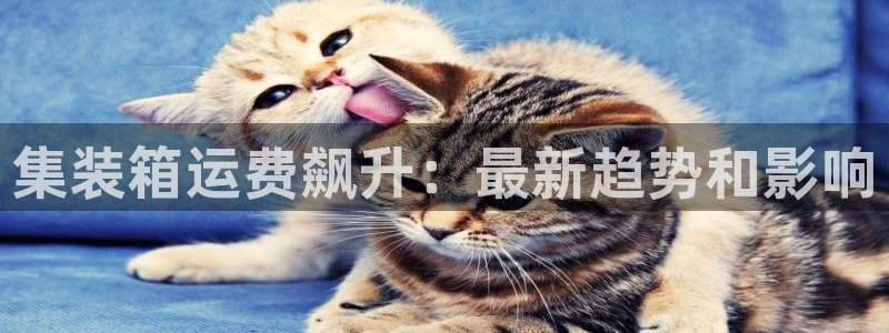 公海赌赌船jcjc710