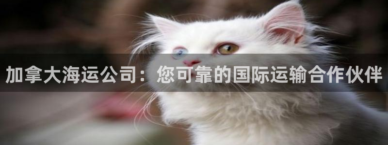 欢迎来公海欢迎来赌船欢迎