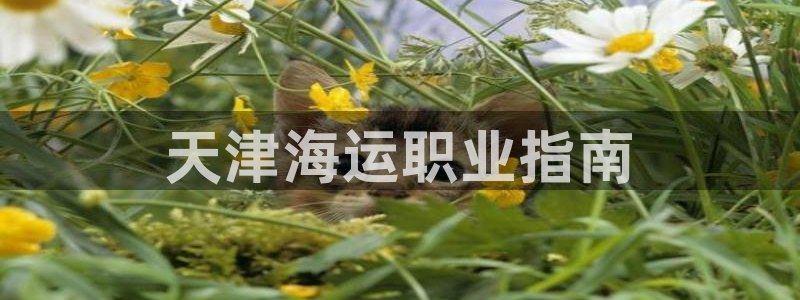 欢迎你来到公海欢迎你来到赌船