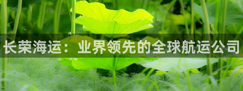 公海赌赌船官网真的吗