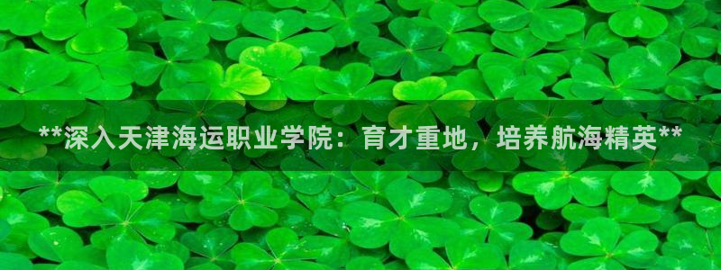 公海赌钱违法吗