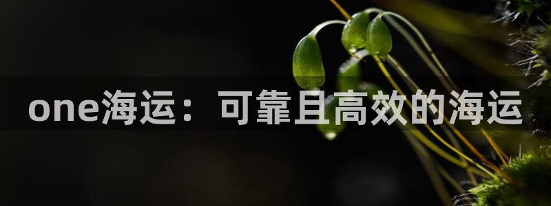 公海赌赌船最新版本更新内容