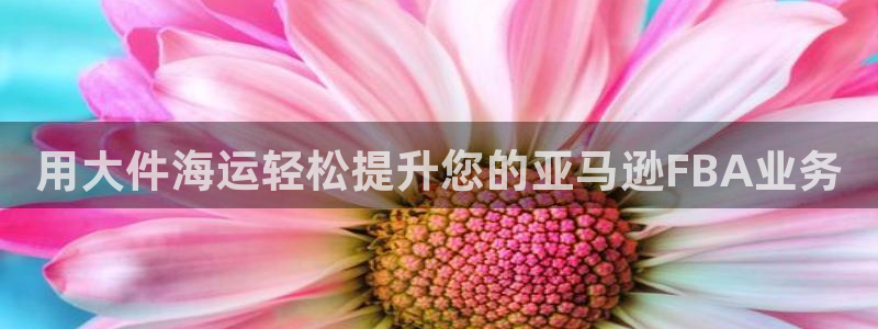 公海赌赌船官网图标