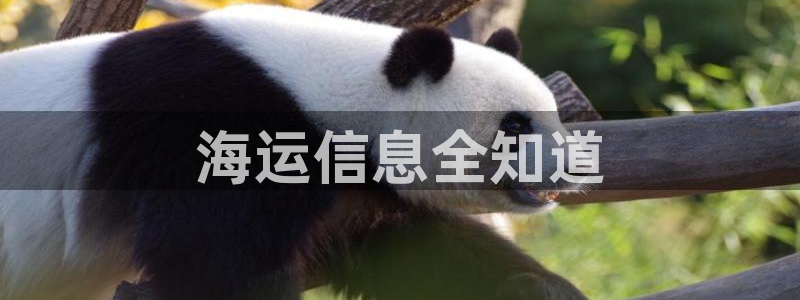 公海赌赌船官网jc710