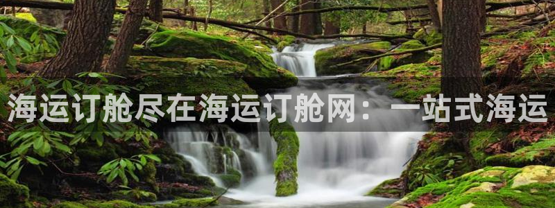 欢迎你来到 公主的海岛